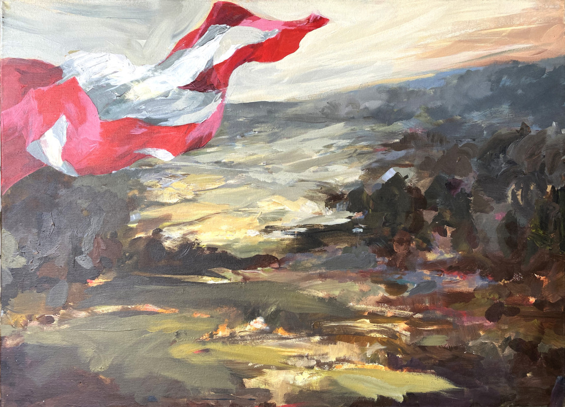 Landscape with Swiss Flag2 - 2016, 50x60cm
